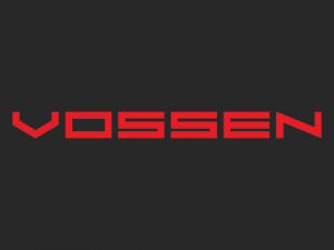 Logo Vossen