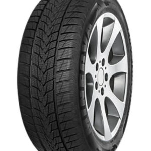195/75R16C 110/108R Minerva Frostrack Van