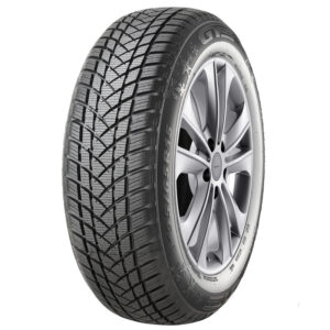 165/65R14 79T GT RADIAL WINTERPRO2 BSW